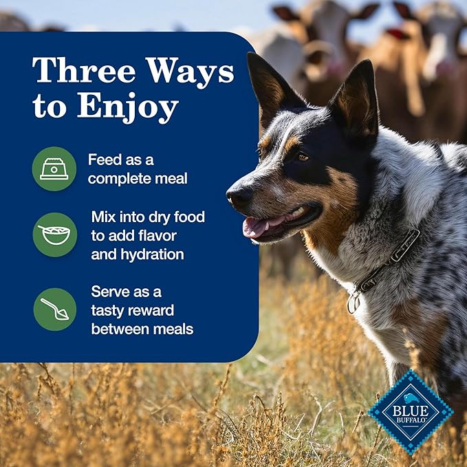 Blue Buffalo Homestyle Recipe Adult Wet Dog Food, Made with Natural Ingredients, Turkey and Lamb Dinner Variety Pack, 12.5-oz Cans (6 Count, 3 of Each)