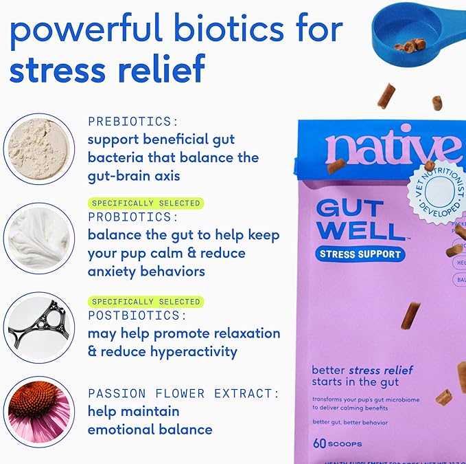 Native Pet GutWell Stress Support - Dog Anxiety Relief & Calming Supplement - Promotes Emotional Wellbeing, Regulates Stress Response & Balances Gut-Brain Axis - Triple-Biotic & Magnesium -120 Scoops