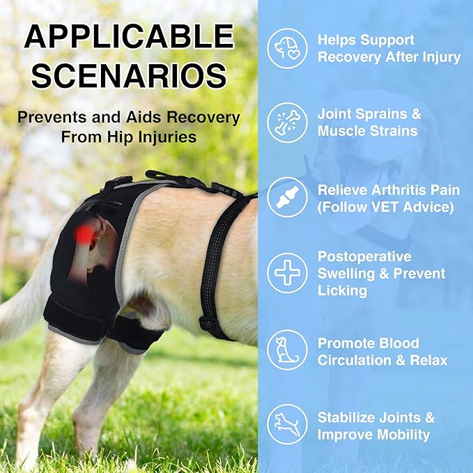 Dog Hip Dysplasia Brace with Hot/Cold Gel Pack – Adjustable Hind Leg Support Wrap for Arthritis, Joint Pain Relief & Post Mobility Recovery, Size XL