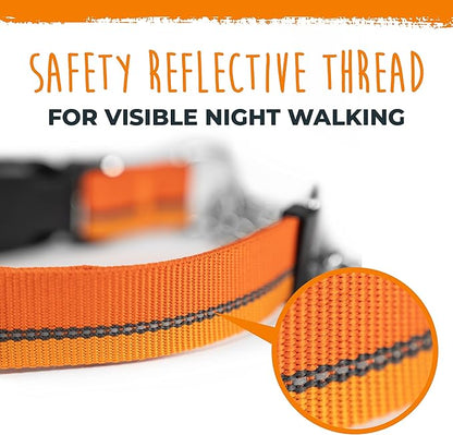 Mighty Paw Martingale Dog Collar 2.0 | Trainer Approved Limited Slip Collar with Stainless Steel Chain & Heavy Duty Buckle - Modified Cinch for Gentle & Effective Pet Training - Large, Orange