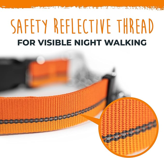 Mighty Paw Martingale Dog Collar 2.0 | Trainer Approved Limited Slip Collar with Stainless Steel Chain & Heavy Duty Buckle - Modified Cinch for Gentle & Effective Pet Training - Medium, Orange