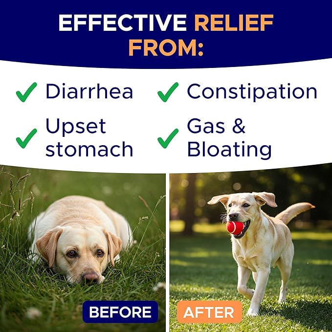 Pumpkin Powder for Dogs - 8oz Powdered Supplement High Fiber for Dogs Stool Softener - Treat Diarrhea, Constipation, Upset Stomach, Food Sensitivity - Improve Digestion - PET_Supplies