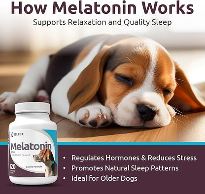 K9 Select Melatonin for Large Dogs - Anxiety Relief Treats for Sleep, Stress, Thunderstorms & Fireworks - Calming Chews for Dogs Anxiety Small & Large Breed, 6 mg, 120 Peanut Butter Tablets