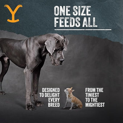 Yellowstone Limited Ingredient Dog Treats Beef Liver - Healthy Dog Treats Made in USA - Air Dried Beef Collagen Dog Jerky Treats - Crunchy & Chewy Dog Treats - Beef Dog Treats Jerky - 4 oz