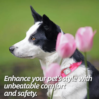 Soft Padded Dog Collar, Neck 9’’-14’’, Adjustable Heavy Duty Collar with 3M Reflective Logo for Small Dogs, Camo Pink, S