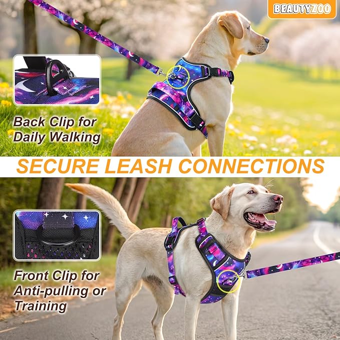 BEAUTYZOO No Pull Dog Harness and Leash Set for Medium Dogs, Adjustable Dog Vest Harnesses with 2 Metal Leash Clips, Reflective Oxford No Choke Escape Proof Step in Pet Vest with Handle, Purple M