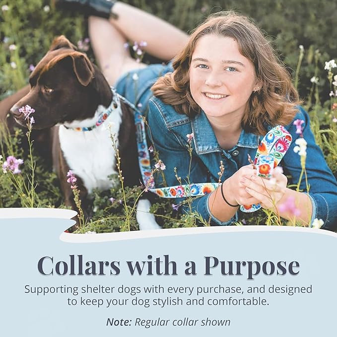 Lucky Love Dog Martingale Dog Collar - Adjustable, No-Slip, Durable, & Soft Webbing Collar for Male and Female Dogs Ideal for Training & Walking - Ladybird, Large