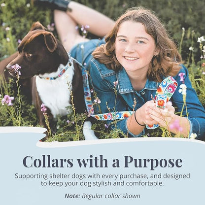 Lucky Love Dog Martingale Dog Collar - Adjustable, No-Slip, Durable, & Soft Webbing Collar for Male and Female Dogs Ideal for Training & Walking - Ladybird, Large