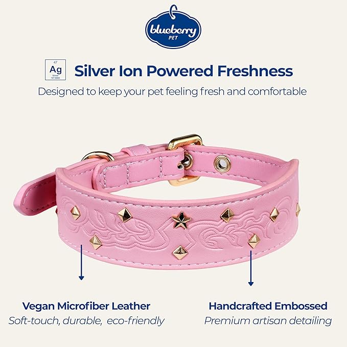 Blueberry Pet Premium Embossed Pink Glam Silver-Powered Freshness Microfiber Leather Dog Collar with Gold Studs