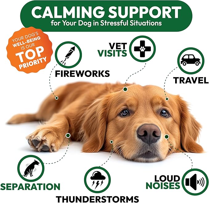 Hemp Calming Chews for Dogs - 170 Dog Calming Chews - Anxiety Relief Treats - Advanced Stress Relief Supplement, Separation Aid, Barking, Fireworks, Melatonin - Hip & Joint Support - Made in USA