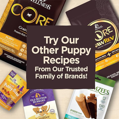 Wellness 365 by Whole Foods Market, Cookie Animal Whole Grain Honey Cinnamon Organic, 11 Ounce (Pack of 2)