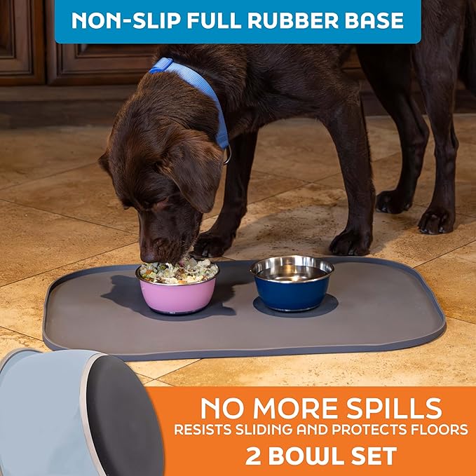 Master Pet Supply Stainless Steel Dog Bowls Set of 2 (16 Oz Each) with Non-Slip Rubber Base - Glacier Blue - Basic Dog Food Bowl Water & Food Bowls for Small Medium Large Dogs & Cats, Metal Dish