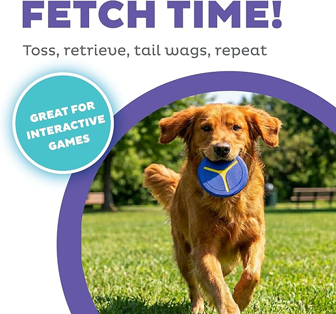 Outward Hound FlyFetch Disc Dog Toy, Durable Rubber, Stand-Alone or Replacement Discs for Launcher, 5", 2-Pack