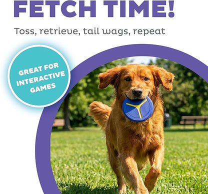 Outward Hound FlyFetch Disc Dog Toy, Durable Rubber, Stand-Alone or Replacement Discs for Launcher, 5", 2-Pack