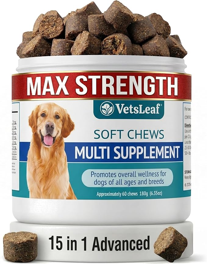 Multi Dog Chews – Comprehensive Health Supplement with Glucosamine, Probiotics, Salmon Oil, Ashwagandha & Mushrooms – Daily Well-Being, Skin & Coat, Digestion and Vitality Support