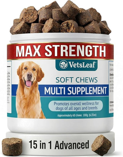 Multi Dog Chews – Comprehensive Health Supplement with Glucosamine, Probiotics, Salmon Oil, Ashwagandha & Mushrooms – Daily Well-Being, Skin & Coat, Digestion and Vitality Support