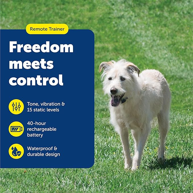 PetSafe 600 Yard Lite Remote Training Collar – Smaller Version for Small or Medium Dogs – Choose from Tone, Vibration, or 15 Levels of Static Stimulation – Medium Range for Training Off Leash Dogs