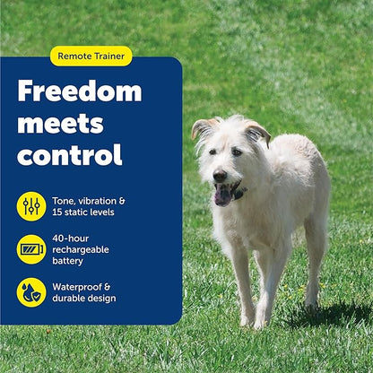 PetSafe 600 Yard Lite Remote Training Collar – Smaller Version for Small or Medium Dogs – Choose from Tone, Vibration, or 15 Levels of Static Stimulation – Medium Range for Training Off Leash Dogs