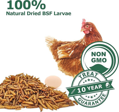 Dried Black Soldier Fly Larvae for Chickens - Non-GMO Poultry Feed Supplement, 85X More Calcium Than Mealworms,High-Protein Treats for Laying Hens & Ducks & Hedgehogs 5LB
