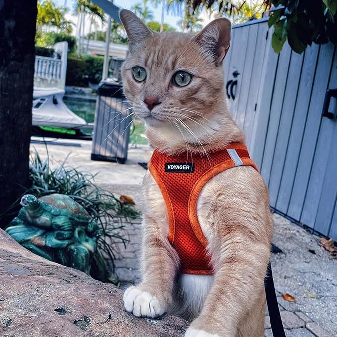 Best Pet Supplies Voyager Step-in Air Harness - All Weather Mesh, Reflective, No Pull Harness for Dogs, Cats - Secure with Hook & Loop Fastener, Buckle, Double D-Rings - Orange, S