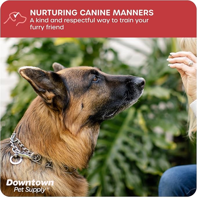 Downtown Pet Supply Chrome Plated Prong Collar for Dogs, Large - Adjustable, No-Choke and No Pull Dog Collar with Removable Links - Pinch Collar for Dogs Over 50 lbs and 22" Neck Width