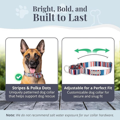 Lucky Love Dog Martingale Dog Collar & Leash - Adjustable, No-Slip, Durable, Comfortable, Soft Webbing, & Stylish Patterned Collar & Leash Set for Male and Female Dogs - Linus Combo, Large