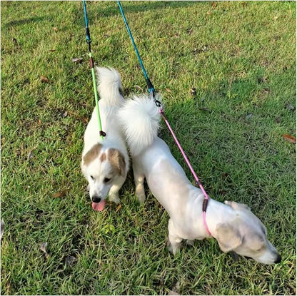 MayPaw Slip Collar Nylon Rope Choke Collar for Dog Training- No Pull Round Martingale Dog Collars for Medium Large Dogs (24" x 1/2", Green)