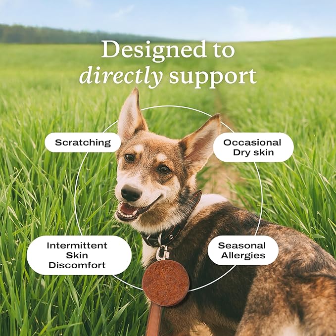 PetLab Co. Salmon Itch Relief Chew Pro for Dogs – Omega 3 for Dogs Itch Supplement - Packed with Beneficial Fatty Acids for Healthy Skin – Seasonal Allergies Support - Packaging May Vary