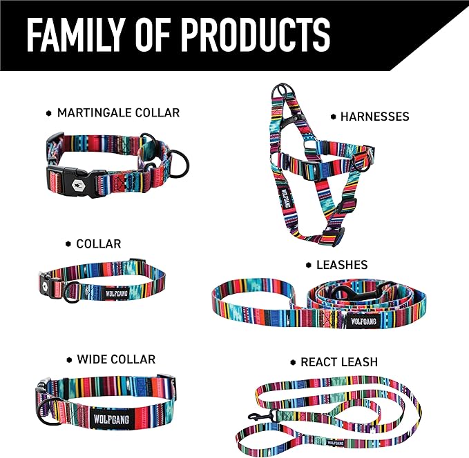 Wolfgang Heavy Duty Martingale Dog Collar with Quick Release Nylon Buckle for Walking & Training, Quetzal Print, Small