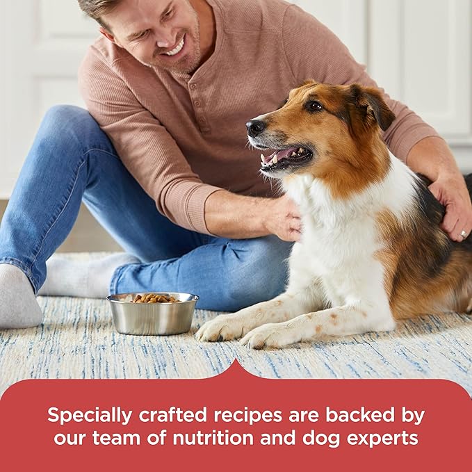 Nutrish Salmon Dry Dog Food, 26 Pound Bag