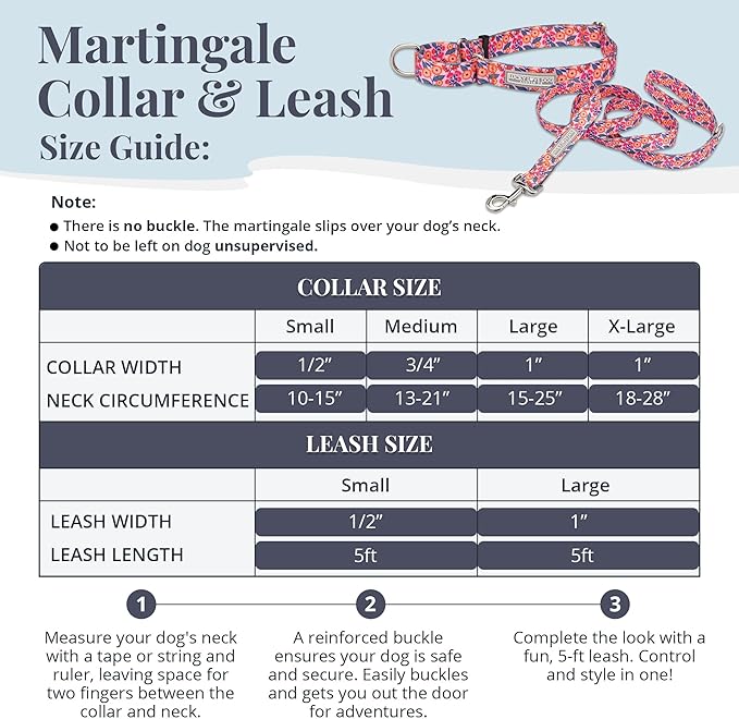 Lucky Love Dog Martingale Dog Collar & Leash - Adjustable, No-Slip, Durable, Comfortable, Soft Webbing, & Stylish Patterned Collar & Leash Set for Male and Female Dogs - Rosie Combo, Large