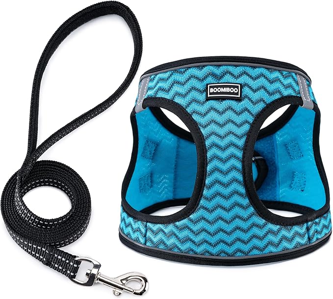 BOOMIBOO Dog Harness with Leash Set, No Pull Adjustable Reflective Step-in Puppy Pet Vest Harnesses for Small Medium Large Dogs and Cats,Blue Stripe S
