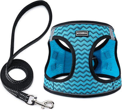 BOOMIBOO Dog Harness with Leash Set, No Pull Adjustable Reflective Step-in Puppy Pet Vest Harnesses for Small Medium Large Dogs and Cats,Blue Stripe S