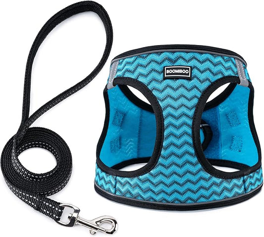 BOOMIBOO Dog Harness with Leash Set, No Pull Adjustable Reflective Step-in Puppy Pet Vest Harnesses for Small Medium Large Dogs and Cats,Blue Stripe M