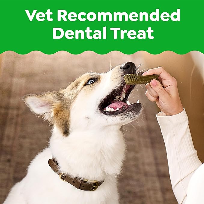 Greenies Veterinarian-Recommended Adult Natural Dental Dog Treats Petite Size, Dog Dental Chews, Original Flavor, 3 oz. Pack, 5 Count