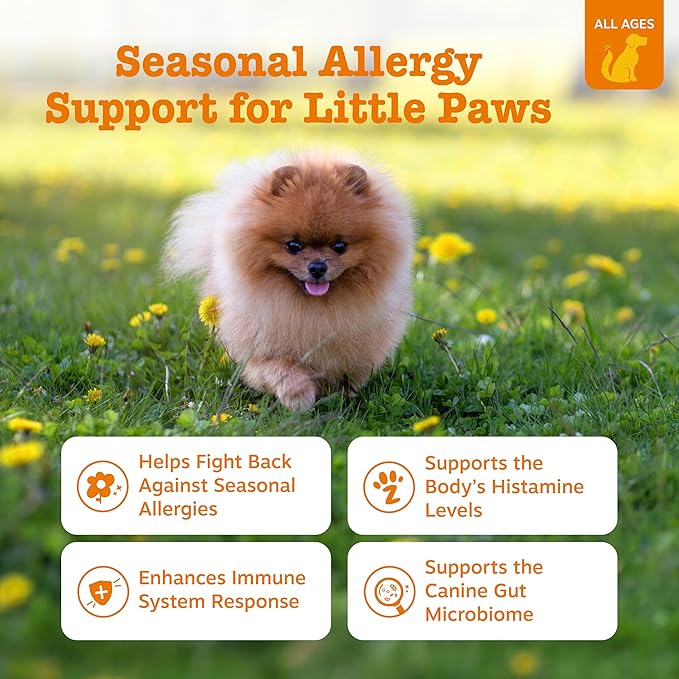 Zesty Paws Allergy Immune Bites - Dog Allergy Chews, Dog Probiotics for Itchy Skin and Ears, Lamb, Mini, 90ct