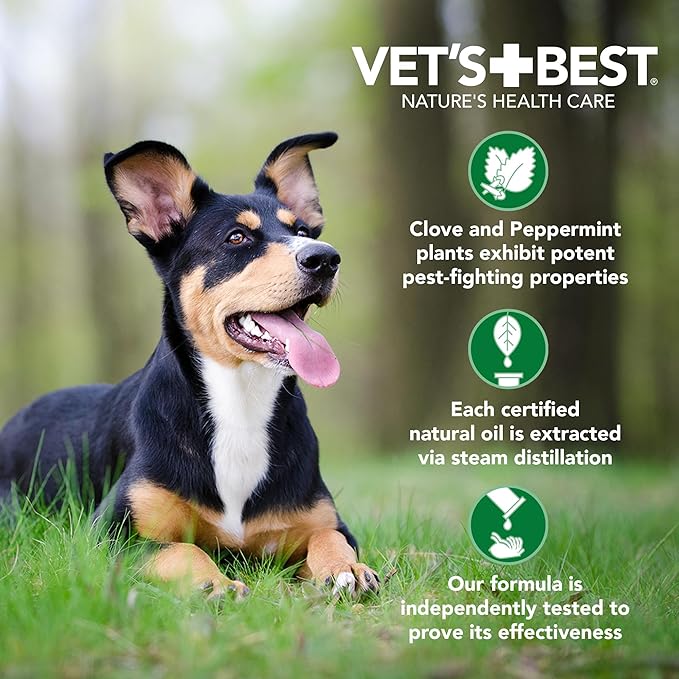 Vet’s Best Natural Flea and Tick Drops for Small Dogs, Plant-Based Spot-On Treatment with Certified Essential Oils, Topical Flea and Tick Prevention and Control, Natural Pest Care, 4 Month Supply