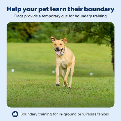 PetSafe 50 Boundary Flags - Extra Boundary Flags for In-Ground & Wireless Fence Training - Reusable Yard Markers - Visual Aid Flags for Pet Containment - Outdoor Pet Training Accessory