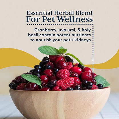 Ayush Pet Rentone - Kidney Support for Dogs & Cats, Liquid Drops for Urinary & Kidney Health, Urinary Health Supplement for Small or Large Pets, Natural Care - 2 fl oz