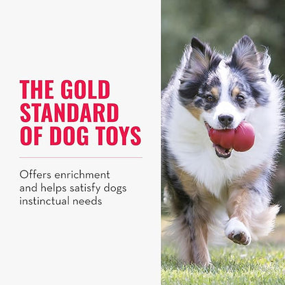 KONG Classic Stuffable Dog Toy - Fetch & Chew Toy for Dogs - Treat-Filling Capabilities & Erratic Bounce for Extended Play Time - Durable Natural Rubber Material - for Medium Dogs (Pack of 2)