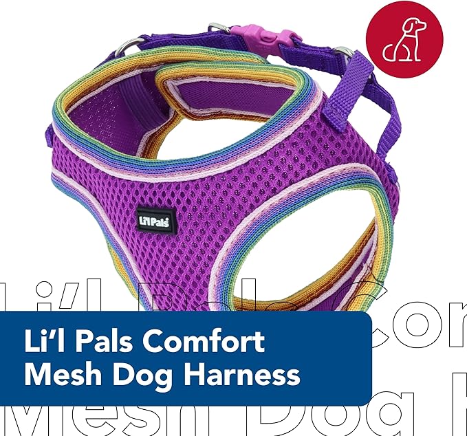 Lil Pals Mesh Comfort Mesh Adjustable Step-in Dog Harness for Puppies and Toy Breeds (Orchid, Petite Small)
