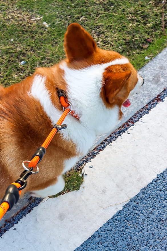 Slip Collar, Dog Choker Collar, Nylon Dog Training Collar with Slidable Stopper No Pull Dog Collars Martingale Collars for Small Medium Large Dogs, Orange, M