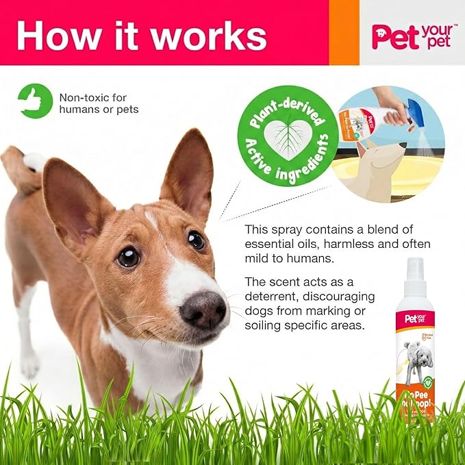 Dog Potty Training Spray No Pee No Poop, 8 Fl Oz, Non Toxic Spray for Dogs Only, Natural Pee Deterrent, Prevents Urine Marking and Pooping, Indoor Outdoor House Training Aid
