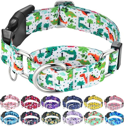 Martingale Dog Collars with Buckle No Pull Training Dog Collar for Small Dogs (Green Dinosaur, Small)