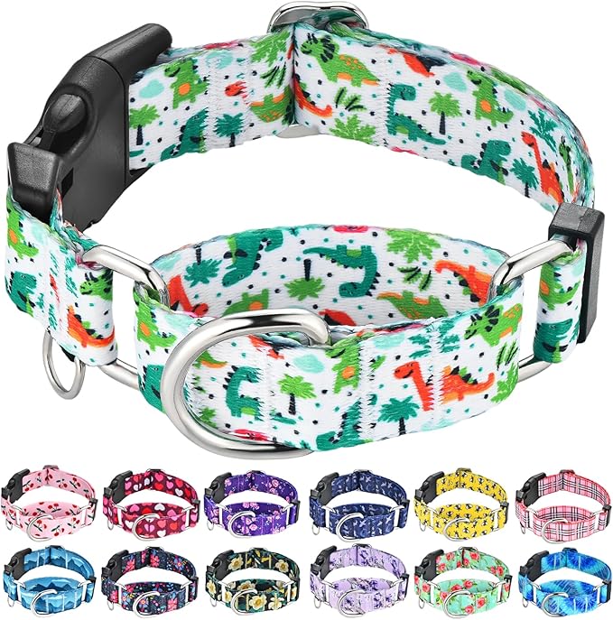 Martingale Dog Collars with Buckle No Pull Training Dog Collar for Large Dogs (Green Dinosaur, Large)