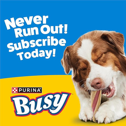 Purina Busy with Beggin’ Twist’d Adult Dog Chew Bone Treats - 6 ct. Pouch
