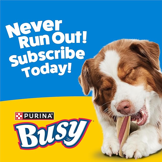 Purina Busy with Beggin’ Twist’d Adult Dog Chew Bone Treats - (Pack of 6) 2 ct. Pouches