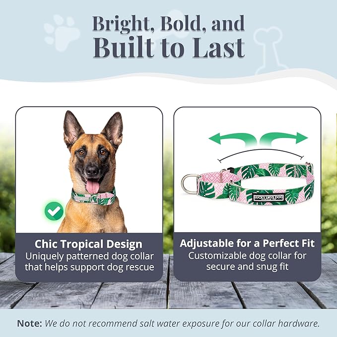 Lucky Love Dog Martingale Dog Collar & Leash - Adjustable, No-Slip, Durable, Comfortable, Soft Webbing, & Stylish Patterned Collar & Leash Set for Male and Female Dogs - Laguna Mart Combo, Large