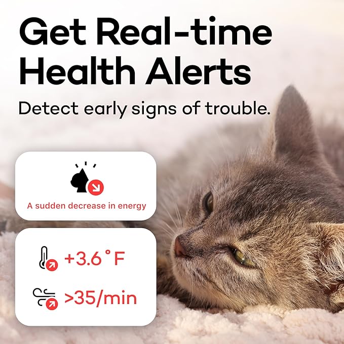 Health Tracker for Cats - Smart Cat Collar with Safety Breakaway Buckle for Indoor Cats, Wellness Alerts, Real-time Monitoring (Kimono (Sakura -Night-),S)