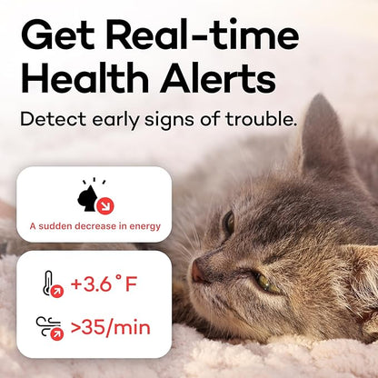 Health Tracker for Cats - Smart Cat Collar with Safety Breakaway Buckle for Indoor Cats, Wellness Alerts, Real-time Monitoring (Kimono (Sakura -Night-),L)